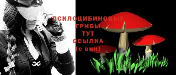 МДПВ Михайловск