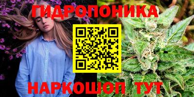 СК Балашиха