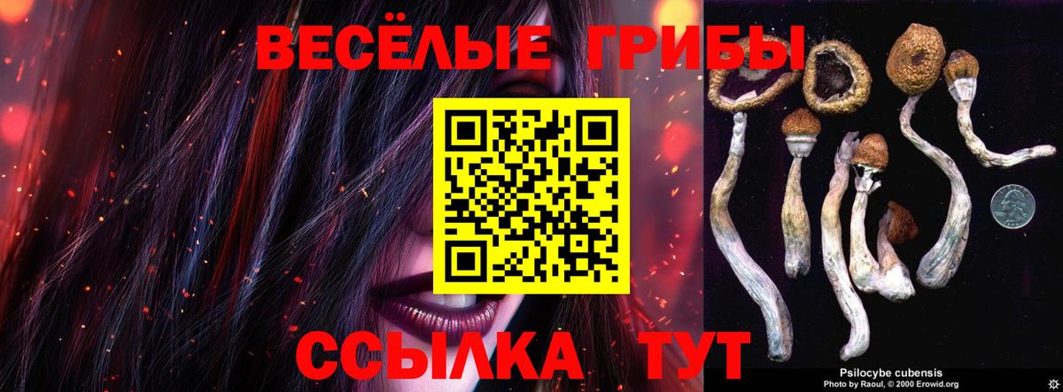 Псилоцибиновые грибы Psilocybe  Псилоцибиновые грибы Psilocybine cubensis  Вход с VPN  Волгоград 