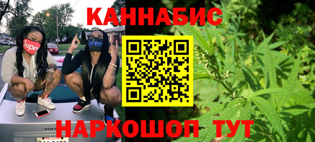 Бошки Шишки гибрид Волгоград